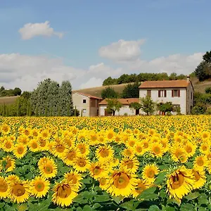 casa-roberta-san-chimento.it-tuscanyhotel.com/